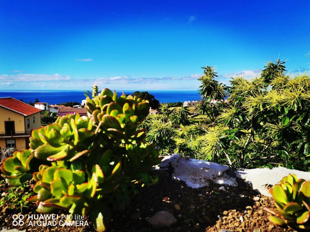 Casas Do Tareco Ferienhaus Biscoitos (Terceira)